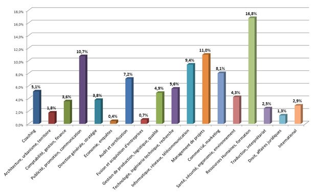 graph des domaines d'expertise des consultants ITG